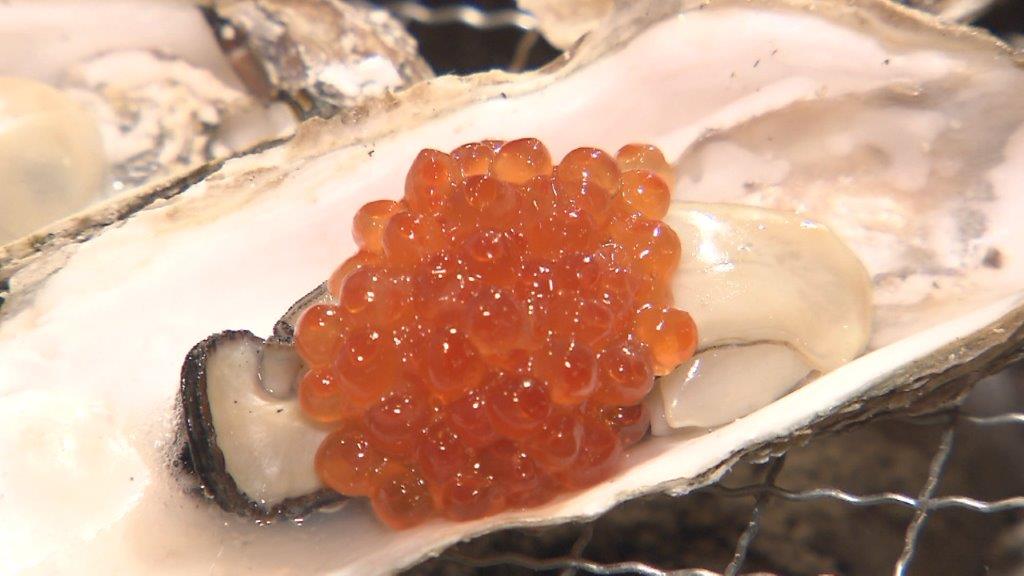 寒い季節に食べたい福岡の“海の幸”！いまこの時期の旬を探しに行きました！