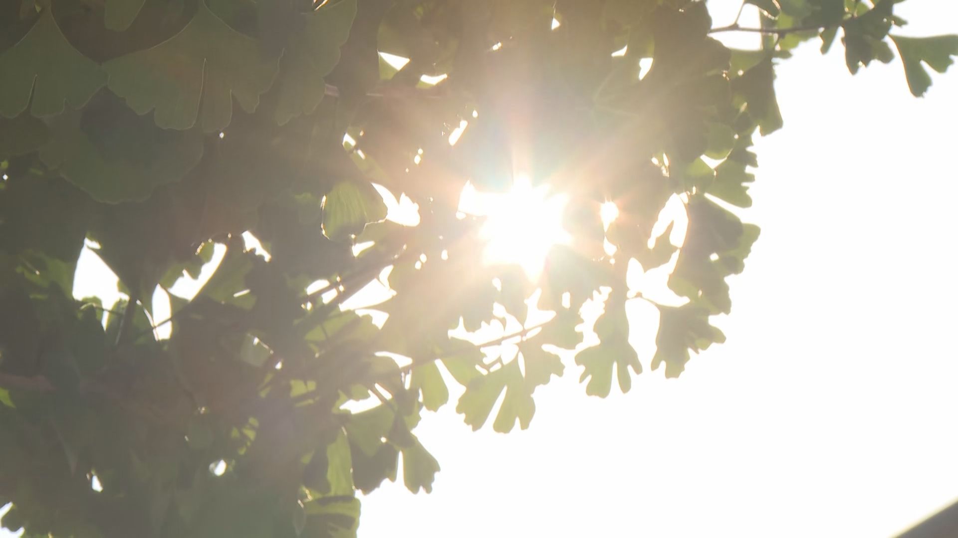 福岡県内で今年初めての真夏日に　久留米市で気温30.0℃　こまめに水分取るなど熱中症予防を　高気圧に覆われて気温上昇
