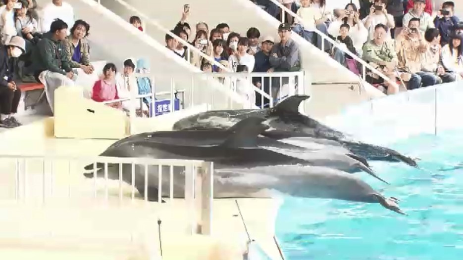 物価高騰の波は水族館にも　「価格高騰が一番大きいのはイカ」　エサの仕入れに苦労も入館料上げずに営業　福岡市・マリンワールド海の中道