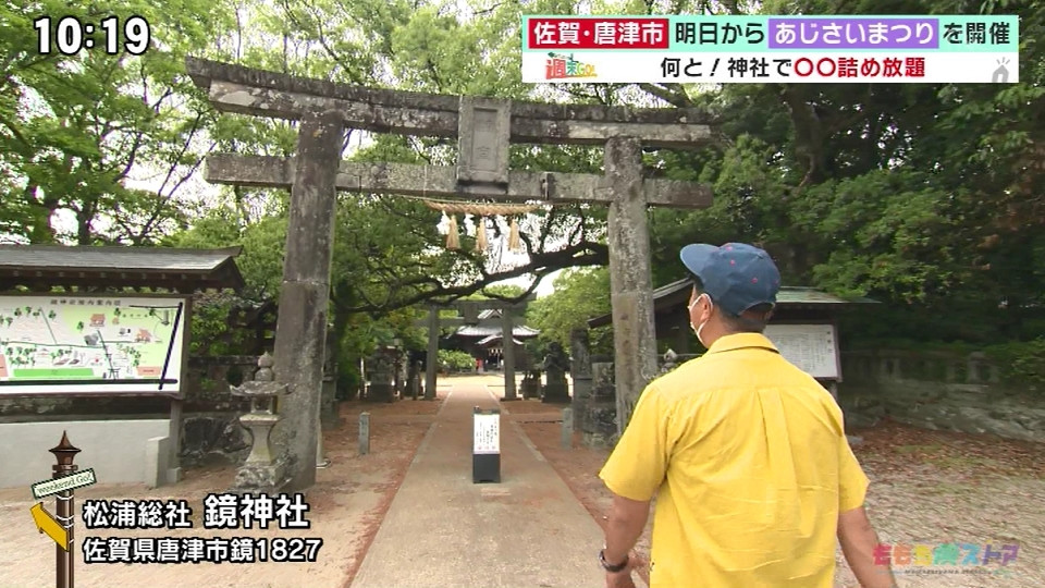 梅の実を詰め放題・松浦総社 鏡神社 -佐賀県唐津市-【週末GO/ももち浜ストア】